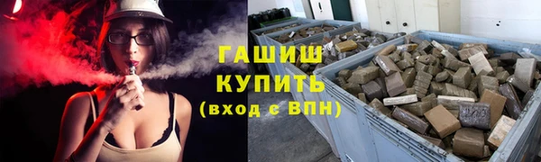 шишки Заволжск
