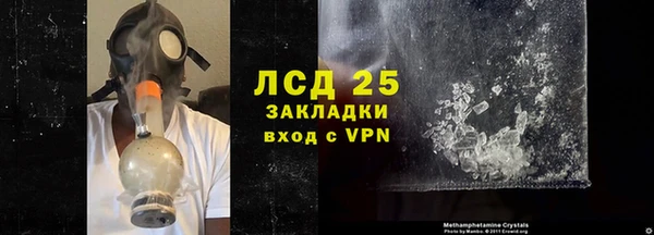индика Баксан