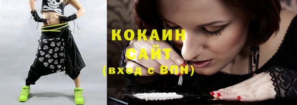 индика Баксан
