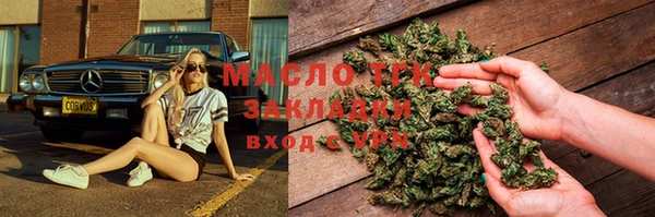 индика Баксан