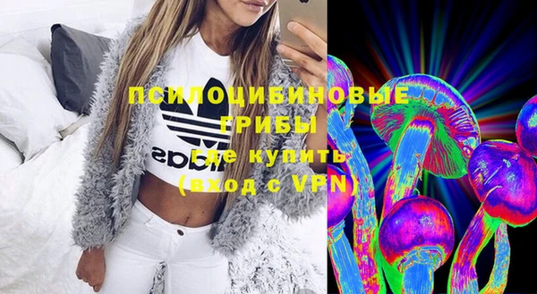 индика Баксан