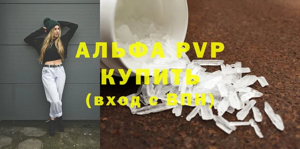 индика Баксан