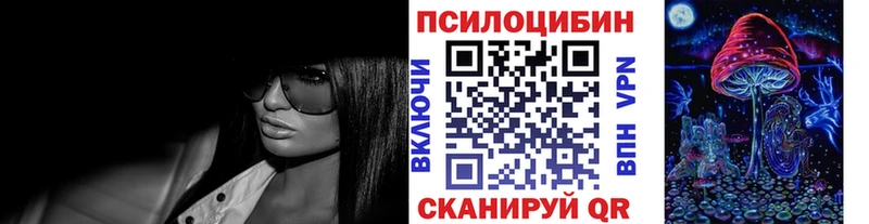 Галлюциногенные грибы Psilocybe Гулькевичи